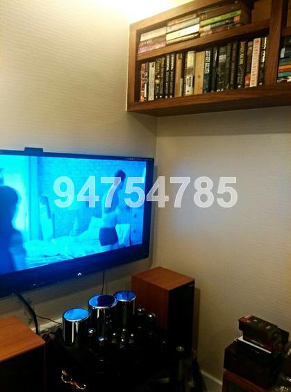 Spring Grove (D10), Condominium #67101852